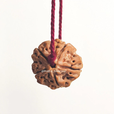 Divine rudras 5 Mukhi Rudraksha Nepali with Red Thread, Wood Locket