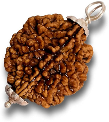 DIVINE SOUVENIRS ORIGINAL(NEPALI) 2 MUKHI RUDRAKSHA Wood Pendant