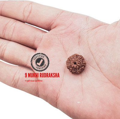 KitaboJi Jewellery 9 Mukhi Rudraksha With Pendant Lab Certified 10-14Mm Size Beads Wood Pendant Set