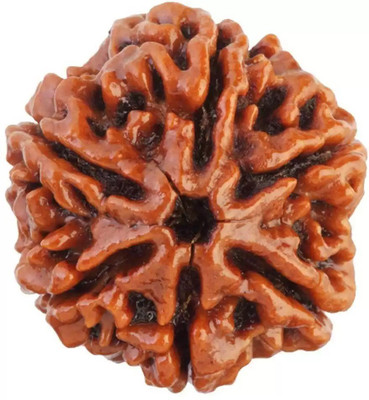 Fine Creation Natural Six Mukhi (6 face) Rudraksha Men & Women Wood Pendant