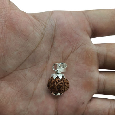 AllenDazzy Satmukhi 7 Mukhi Rudraksha Original Original 7 Face Saat Mukhee Rudraksha Silver Wood Locket Set