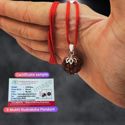 Fine Creation 6 Mukhi Rudraksha Nepal Natural Six Face Rudraksh Silver Beads Brass, Wood Locket