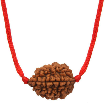 Astrodidi 2 Mukhi Rudraksha Two Face Pendant With Lab Report Original Wood Pendant