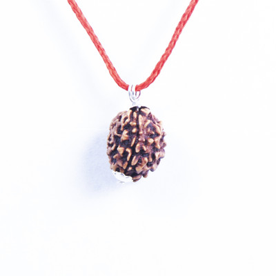 Manyate Natural 3 Mukhi / Mukha Three Face Nepali Energised Lab Certified Rudraksha Silver Wood Pendant