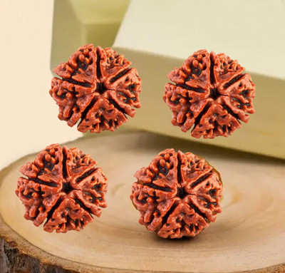 HEALINGGEMS 5 Mukhi Nepali Rudraksha Five face With Lab tested Certificate Sterling Silver Wood Pendant
