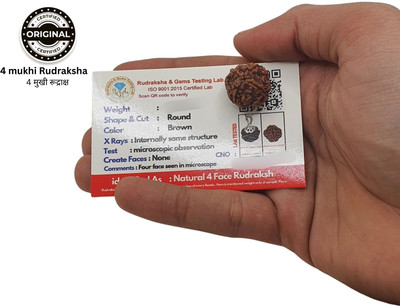 A1 yashvriddhi 4 Mukhi Rudraksha four face chaarmukhi Rudraksha Nepali with Lab Certificate Beads Wood Pendant