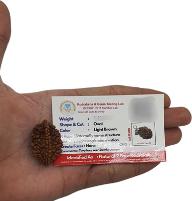 House Spiritual ENTERPRISE Rudraksh 2 Mukhi reddish-brown Wood Pendant