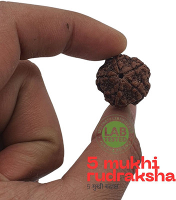 Bharat Collection Natural Nepali 5 Mukhi Rudraksha Pendant (Five Face Rudraksha ) With Lab Report Beads Wood Pendant