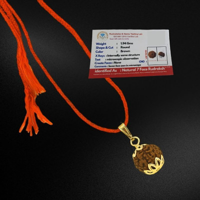 memstomuch 7 Mukhi Rudraksha Nepali Seven Face Rudraksha Metal Capped Gold-plated Brass, Wood Pendant