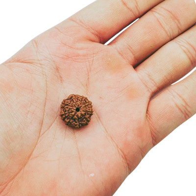 Khushal ENTERPRISE 9 Mukhi rudraksha / 9 Face Rudraksha Java Indonesian For Unisex Beads Wood Pendant Set