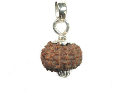 DIVINE SOUVENIRS 8 Mukhi Rudraksha with Gold Platted Cap Wood