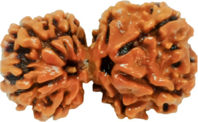 Navdurga Jyotish Kendra Natural Nepali Gauri Shankar Rudraksha Lab Certified Bead [ A++ Quality] Stone