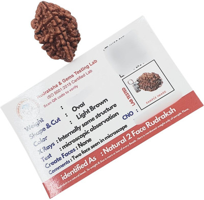 Human Collections 2 MUKHI ORIGINAL RUDRAKSHA NEPALI ORIGINAL Wood Locket Set