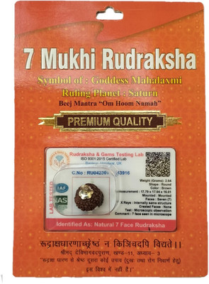 Divine rudras 7 Mukhi Rudraksha Original Certified Lab Test & X-ray Report Sterling Silver Wood Pendant