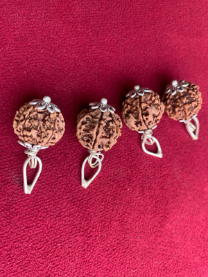 Rudraksham 6 Mukhi Nepali Rudraksha Pendant With Certificate Of Authenticity (Set of 4) Silver Brass Locket Set