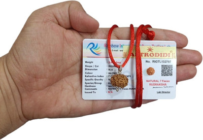 Astrodidi 7 Mukhi Rudraksha 17mm Pendant Indonesian Java Natural Bead Lab Certified Silver Wood Pendant