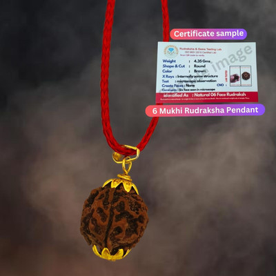 BHAKTI CHIMES 6 Mukhi Rudraksha Six Faced Charr Nepali Rudraksh Bead Original & Certified Gold-plated Beads Brass, Wood Locket