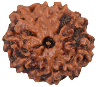 house of common 10 Mukhi / Ten Face Indonesia Rudraksha Rudraksha With Silver Caping Beads Wood