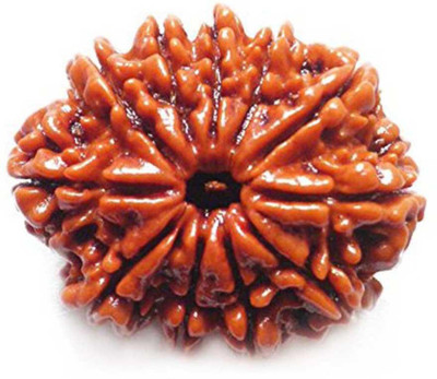 DIVINE SOUVENIRS 11 MUKHI RUDRAKSHA Pendant/Locket Wood Pendant
