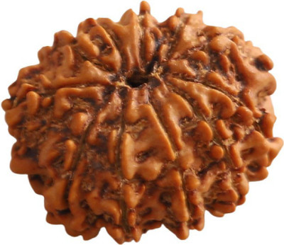 DIVINE SOUVENIRS 11 Mukhi Nepali Rudraksha | Natural Eleven Face Nepali Rudraksha | ACTIVATED Wood