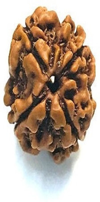 Rudr Natural 4 Chatur Mukhi Nepali Rudraksha Ideal for Meditation & Mindfulness Beads Wood