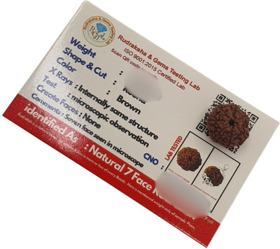 Bondwal Trendz 7 Mukhi Rudraksha Original IGL Certified | Original Seller Nepali Rudraksha | Beads Wood Pendant