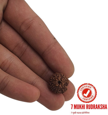 BHAKTI Kripalu Store 7 Mukhi Lab Certified Original & Natural indonesian Unisex Rudraksha Beads Wood Locket Set