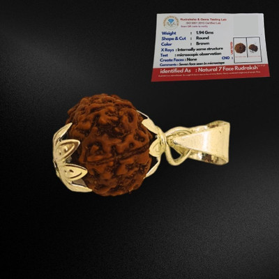 leahyallen 7 Mukhi Rudraksha Seven Face Rudraksha Nepali Rudraksha Code:1 Gold-plated Wood Pendant Set