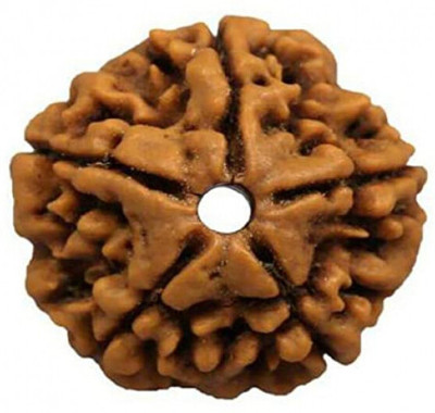 ng gems Nepali Rudraksha 5 Mukhi Wood Pendant