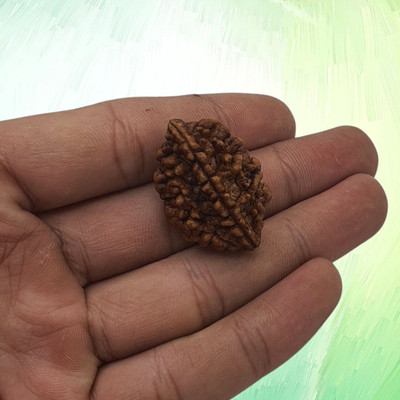 Haven gemsstone Beads Wood Locket