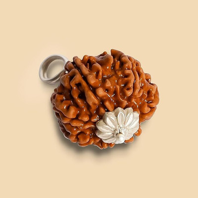 Khushal ENTERPRISE Original 7 Mukhi Rudraksha Seven Face Rudraksha Metal Cap Nepali Bead Wood Pendant