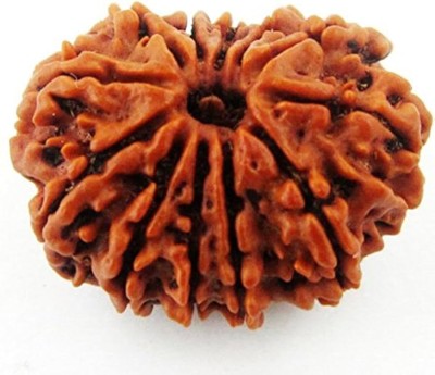 Beautum Original 3 Mukhi Rudraksha Three Face Rudraksha With Metal Capping Wood Pendant