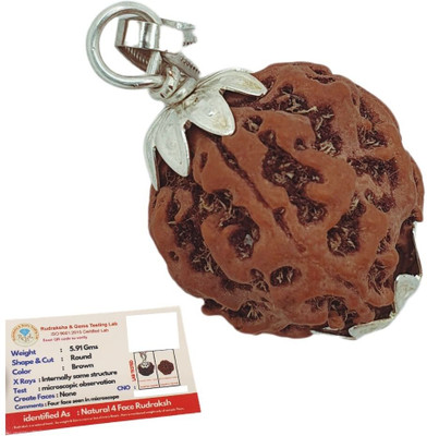 BHAKTI Kripalu Store 4 Mukhi Rudraksha, Four Face Radraksha, 4 Face Radraksha, Original Rudraksha Silver Beads Brass, Wood Locket