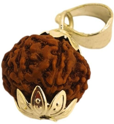 AllenDazzy 7 MUKHI ORIGINAL RUDRAKSHA NEPALI ORIGINAL Wood Pendant Gold-plated Brass, Wood Locket Set