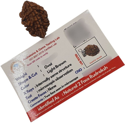 Khushal ENTERPRISE 2 Mukhi Rudraksha Two Face Rudraksha Original Nepali Bead With Metal Capped Beads Wood Pendant