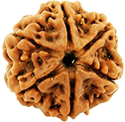 Shivtantra 6 Mukhi Rudraksha Beads Original six Faces Rudraksha Astrological Purpose Beads Wood