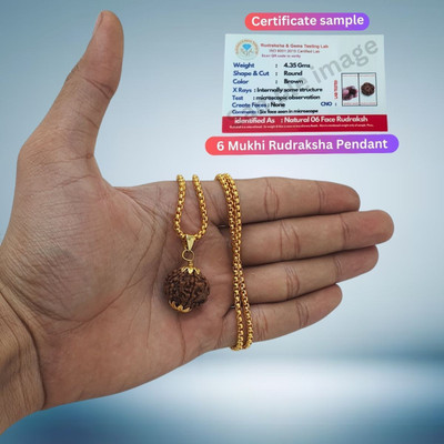 Haven gemsstone Purest Astrological Original Natural 6 Mukhi/six Faced Nepali Rudraksha Pendant Gold-plated Beads Brass, Wood Locket Set