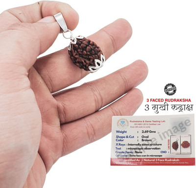 Hart Eye 3 Mukhi Nepali Rudraksha three Face Rudraksh With Original Quality Certificate Silver Brass Locket Set