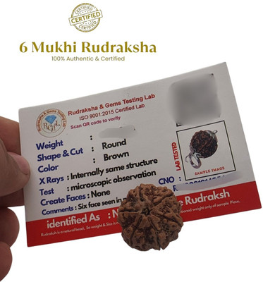 LOTUS Store 6 Mukhi Rudraksha six Face Rudraksha Nepali Rudraksha Code:1 Beads Wood Pendant