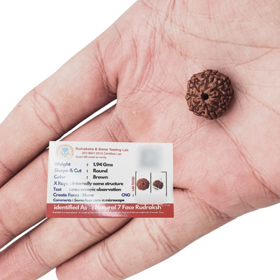 Madhur Creation Certified 7 Mukhi Rudraksha Beads Natural 7 Face Rudraksha Beads Locket Beads Wood Locket