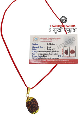 Hart Eye 3 Mukhi Rudraksha With Lab Certified Gold-plated Beads Brass Locket Set