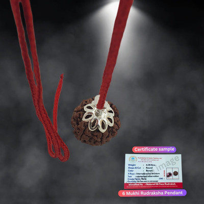 HAPPY CREATION Real six Faced Rudraksha 6 Mukhi Rudraksha Pendant in Silver Beads Brass, Wood Pendant Set