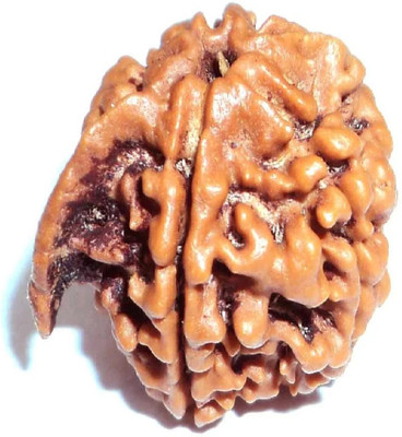 Shivtantra Shree Ganesh Rudraksha Original Beads Wood Pendant