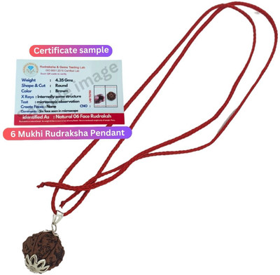 BHAKTI CHIMES 6 Mukhi Nepali Rudraksha IGL Certified || Original Seller Nepali Rudraksha || Silver Beads Brass, Wood Locket