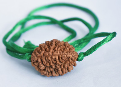 ng gems 2 Mukhi Nepali Rudraksha Pendant With green Wood Pendant Set