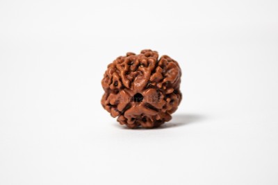 Beautum Original 4 Mukhi Rudraksha Four Face Rudraksha With Metal Capping Wood Pendant