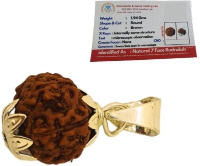 Fine Creation Original 7 Mukhi Nepali Rudraksha Seven Face Rudraksh Gold-plated Wood Pendant