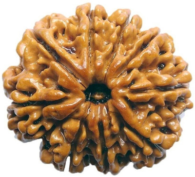 Jewelswonder Original & Natural Nine Face / 8 Mukhi Rudraksha Wood