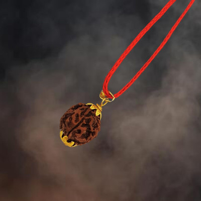 A1 yashvriddhi Six Mukhi/Faced Rudraksha Astrological | Positive Effect | Unisex Both Gold-plated Beads Brass, Wood Locket