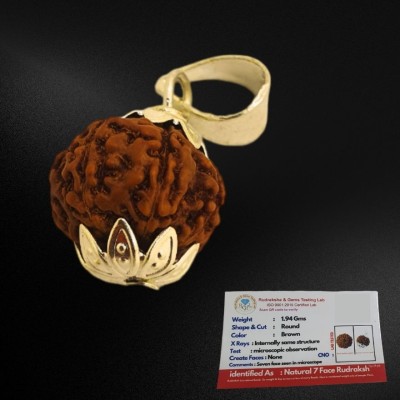 Nirvana Mukhi Original 7 Mukhi Nepali Rudraksha Seven Face Rudraksh Wood Pendant Gold-plated Wood Pendant